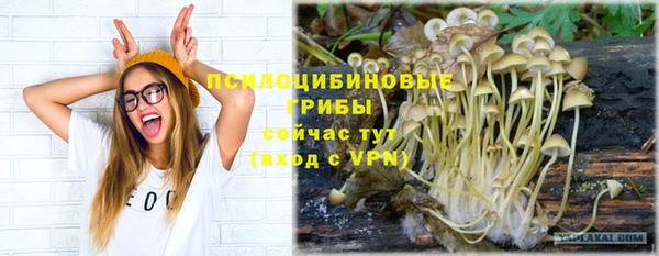 кокс Богородск