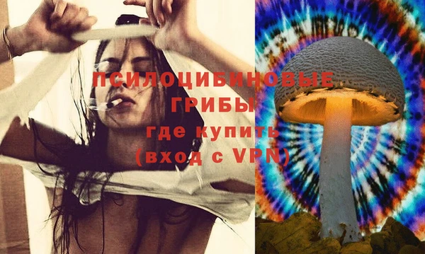 ALPHA-PVP Богородицк