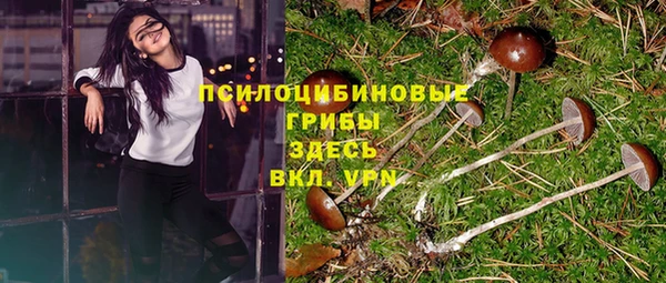 ALPHA-PVP Богородицк