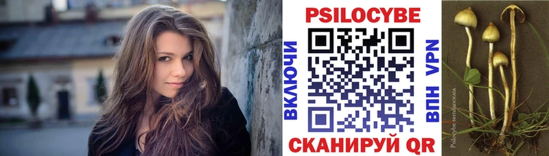 Галлюциногенные грибы мицелий  OMG ссылка  нарко площадка официальный сайт  Миллерово 