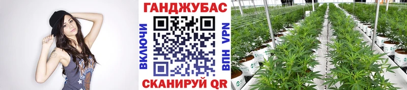 Шишки марихуана ГИДРОПОН  blacksprut зеркало  Миллерово 